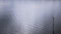 Lake  and reflection on water surface, waving move . texture of movement throught the soft wind A foggy morning scene Royalty Free Stock Photo