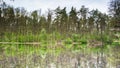 The lake reflects forest trees