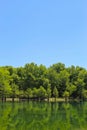 Lake reflects treeline