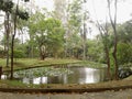 Lake in Regional Park Santo Andre Sao Paulo Brazil.