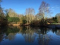 Lake at RHS Rosemoor Royalty Free Stock Photo