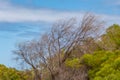 Lake Richmond is an an important ecosystem for thrombolites and waterbirds