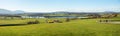 Lake Riegsee, idyllic landscape alpine foothills bavaria, panoramic view