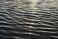 Lake ripples Royalty Free Stock Photo