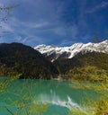 Lake Ritsa, Abkhazia Royalty Free Stock Photo