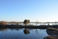 A lake or river with brown grasses and shore