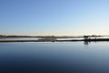 A lake or river with brown grasses and shore