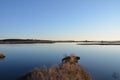 A lake or river with brown grasses and shore