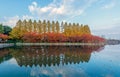 Lake or river reflection of red maple leaves or fall foliage with branches in colorful autumn season in Kyoto City, Kansai. Trees Royalty Free Stock Photo