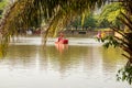 Lake of Roses in Goiania.