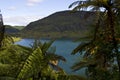 Lake Rotokakahi (Green Lake), Rotorua, New Zealand Royalty Free Stock Photo
