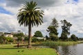 Hamilton, New Zealand. Trees around Lake Rotoroa Royalty Free Stock Photo