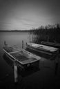 on a lake rowboats lying side by side on shore in water in black white Royalty Free Stock Photo