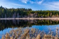 Lake rubener teich in the upper austrian moorland tanner moor