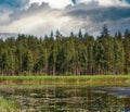 Lake Ruotsalainen summer view (Finland Royalty Free Stock Photo