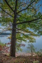 Lake Rursee in the Eifel nature park in western Germany