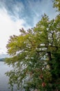 Lake Rursee in the Eifel nature park in western Germany Royalty Free Stock Photo
