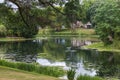 Beautiful reflection in Lake Sacajawea in Kelso Royalty Free Stock Photo