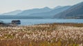 Lake Saiko with grass field