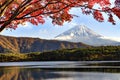 Fuji Mountain and Red Maple Leaves in Autumn at Lake Saiko, Yamanashi, Japan