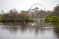 Lake in Saint James Park, London Royalty Free Stock Photo