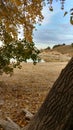 Lake sand fall Nebraska Bay rocks trees Royalty Free Stock Photo