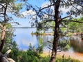 Lake sandy wild natural beach in Lacanau Gironde Aquitaine