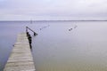 Lake sanguinet in landes panorama of wood pontoon for mooring boats in winter