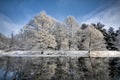 Lake scene in winter Royalty Free Stock Photo