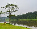 Lake scenery in Dalat, Vietnam Royalty Free Stock Photo