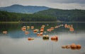 Lake scenery in Dalat, Vietnam Royalty Free Stock Photo