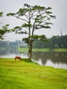 Lake scenery at summer in Dalat, Vietnam Royalty Free Stock Photo