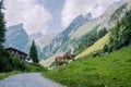 Lake Seealpsee near Appenzell in swiss Alps, Ebenalp, Switzerland Royalty Free Stock Photo