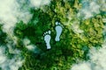A lake in the shape of human footprints in the middle of a lush forest