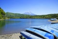 Mount Fuji and Lake Saiko