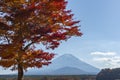 Fuji Mountain at Lake Shojiko in Autumn with Red Maple Leaves, Japan