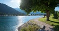 Lake shore Achensee north with bench under chestnut tree, tourist resort tirol