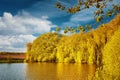 Lake shore in autumn, yellow trees, blue sky, artistic processing Royalty Free Stock Photo