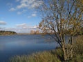 Lake shore beautiful autumn landscape blue sky background Royalty Free Stock Photo