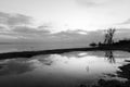 A lake shore at dawn, with beautiful tree and sky reflections on water Royalty Free Stock Photo