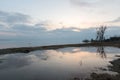 A lake shore at dawn, with beautiful tree and sky reflections on Royalty Free Stock Photo