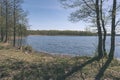 lake shore with distinct trees in green summer - vintage retro l