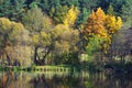 Lake shore in early spring Royalty Free Stock Photo