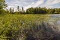 Lake shore with green trees and plants reflecting in  mirror water surface. Beautiful backgrounds. Royalty Free Stock Photo