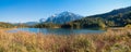 lake shore Lautersee with reed grass, Karwendel mountains, near Mittenwald Royalty Free Stock Photo