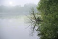 Lake shore in morning mist with trees, reflection in the water and a pale sun, calm natural landscape, copy space, selected focus Royalty Free Stock Photo