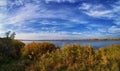 Lake shore with reeds, blue sky and white clouds Royalty Free Stock Photo