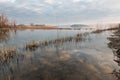 Lake shore with reflections and reeds