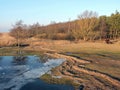 Lake shore in spring Royalty Free Stock Photo