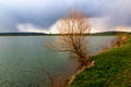 Lake shore with tree and spring rain on horizon Royalty Free Stock Photo